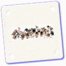 photo dessin bd humour gag rire drole canulard blague si_mon_flair_est_bon_tu_ne_glandees_rien_devant_to.gif
